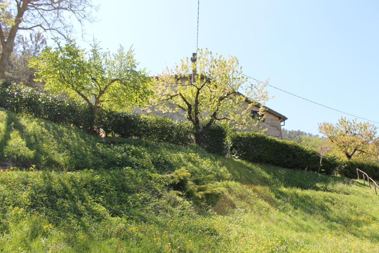 B&B Paradiso Gubbio Buitenkant foto
