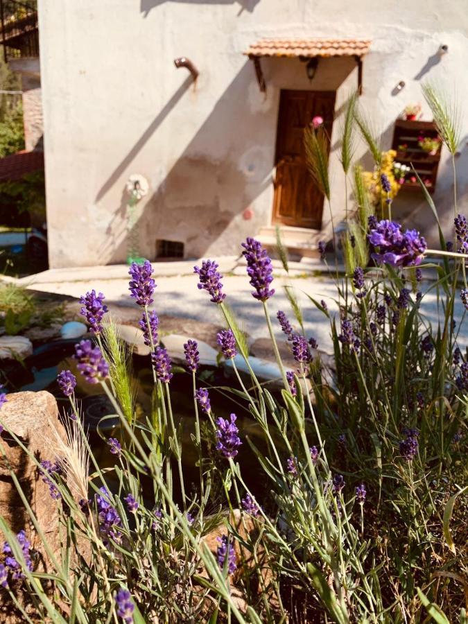 B&B Paradiso Gubbio Buitenkant foto
